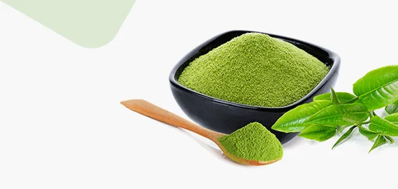 Tatlı ve latte pişirme tarifleri için Japon matcha tozu
